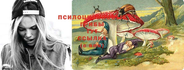 эйфоретик Алексеевка