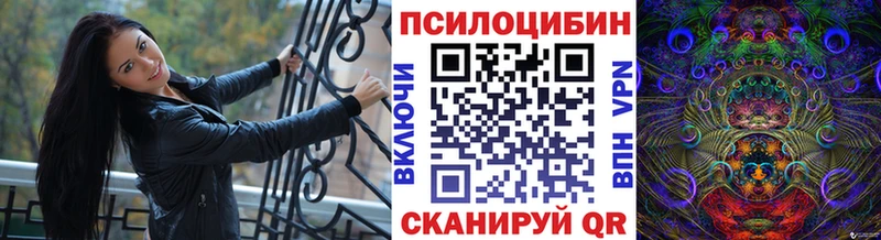 Псилоцибиновые грибы Psilocybine cubensis что такое Донецк